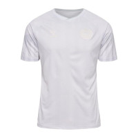 Hummel Denmark Men's Stadium Jersey 2022/23