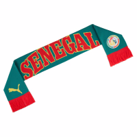 PUMA Senegal National Team ftblCulture Scarf