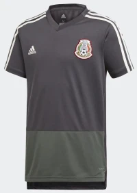adidas Mexico Youth Pre Match Jersey 2018