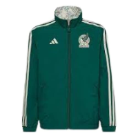adidas Youth's Mexico Reversible Jacket (as1, alpha, l, regular, Large) Collegiate Green / Wonder White