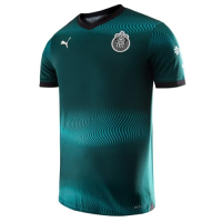 PUMA Chivas Youth Stadium Third Jersey 2023-24 (US, Alpha, Medium, Regular, Green)