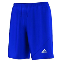 Adidas Youth Striker 13 Shorts Z67765.Boldblue LG