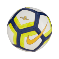 Nike Gold Cup Skill Ball (1)