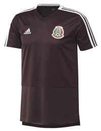 adidas Mexico Men's TRNG Jersey World Cup 2018 (Maroon) (S)