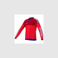 adidas Top 15 Youth Goalkeeper Jersey