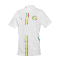 PUMA - Mens Fsf Home Jersey Replica, Color White/Sport Green, Size: Large