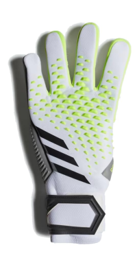 Predator Goalie Gloves Competition