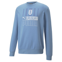 PUMA Men's Standard AUF FTBLCore Hoodie, Silver Lake Blue White, Large