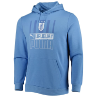 PUMA Men's Standard AUF FTBLCore Hoodie, Silver Lake Blue White, Medium