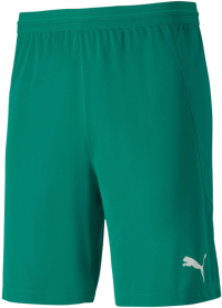 PUMA - Mens Teamfinal 21 Knit Shorts, Size: Large, Color: Pepper Green