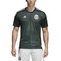 adidas Mexico Men's Home Pre-Match Jersey World Cup 2018 (L)