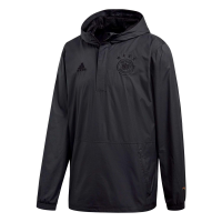 adidas Men's Germany Seasonal Special Wind Jacket 18/19 (XL) Black
