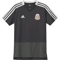 adidas Mexico Men's Training Jersey World Cup 2018 (Black) (YL)
