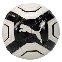 PUMA Powercat Camp Ball