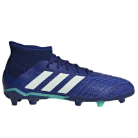 adidas Predator 18.1 FG Junior Casual Shoes (Boys), Blue, 5.5
