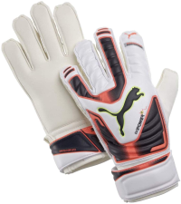 PUMA EVO Power Protect 3 GK Gloves (11)