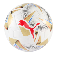 Puma Cumbre CONMEBOL Copa America FIFA Match Ball - Official Match Ball for High-Level Soccer Games, Size 5 (PUMA White-PUMA Gold)