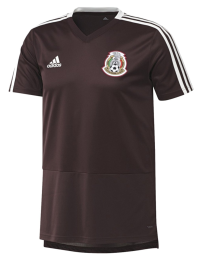 adidas Men's Soccer Mexico Training Jersey (X-Large)
