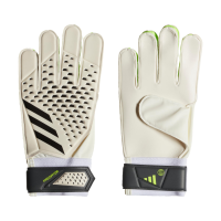 Predator Goalie Gloves Training