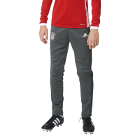 adidas Bayern Munich Training Pants Boys (YS) Grey