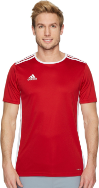 adidas Men's Entrada 18 Jersey, Power Red/White, Large