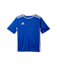 adidas Boy's Entrada 18 Jersey