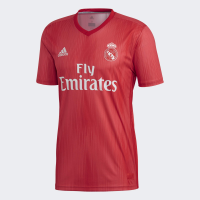 adidas Real Madrid 3rd Jersey (Large)