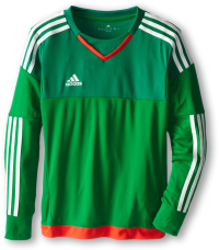adidas Performance Youth Top Goalkeeping Jersey, Large, Green/Twilight Green/Legacy