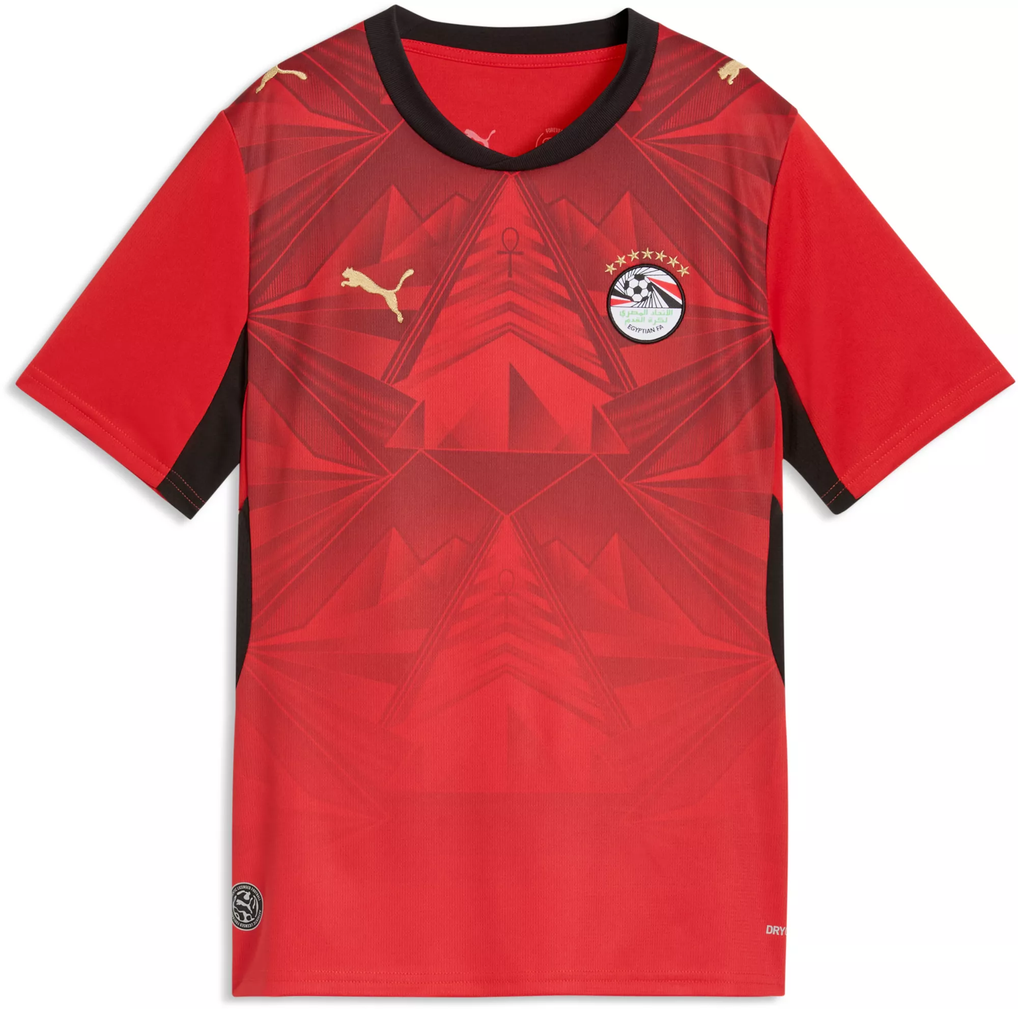 PUMA Egypt Youth Home Jersey World Cup 2026